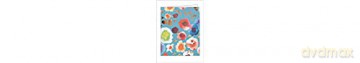 Blooms Thank You Notecard Set: In Portable Acetate Box - Kelly Ventura [KSIĄŻKA]