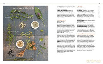 Body into Balance: An Herbal Guide to Holistic Self-Care - Noel, Maria Groves [KSIĄŻKA]