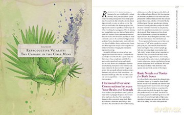 Body into Balance: An Herbal Guide to Holistic Self-Care - Noel, Maria Groves [KSIĄŻKA]
