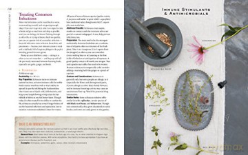 Body into Balance: An Herbal Guide to Holistic Self-Care - Noel, Maria Groves [KSIĄŻKA]