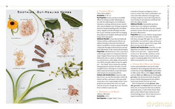 Body into Balance: An Herbal Guide to Holistic Self-Care - Noel, Maria Groves [KSIĄŻKA]