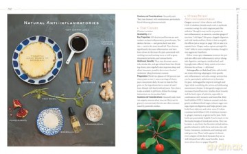 Body into Balance: An Herbal Guide to Holistic Self-Care - Noel, Maria Groves [KSIĄŻKA]