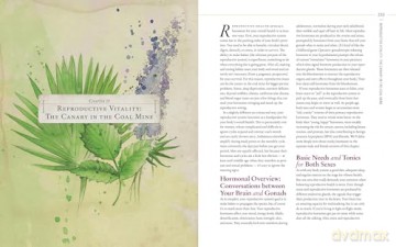 Body into Balance: An Herbal Guide to Holistic Self-Care - Noel, Maria Groves [KSIĄŻKA]