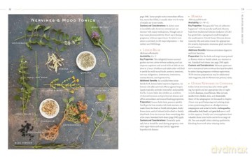 Body into Balance: An Herbal Guide to Holistic Self-Care - Noel, Maria Groves [KSIĄŻKA]