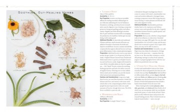 Body into Balance: An Herbal Guide to Holistic Self-Care - Noel, Maria Groves [KSIĄŻKA]