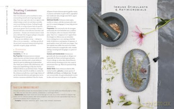Body into Balance: An Herbal Guide to Holistic Self-Care - Noel, Maria Groves [KSIĄŻKA]