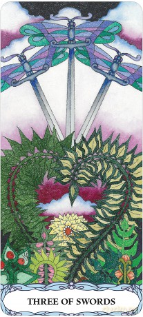 Borderless Tarot Of A Moon Garden Deck Book Set - Karen Marie Sweikhardt [KSIĄŻKA]