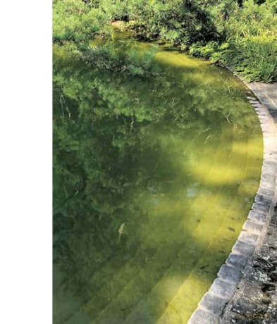 Borrowed Sceneries: The Influence of Japanese Garden Art on Swiss Landscape Architecture - Rahel Hartmann Schweizer [KSIĄŻKA]
