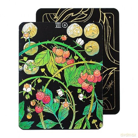 BOTANICA: The Tarot Deck About the Language of Flowers - Kevin Jay Stanton [KSIĄŻKA]