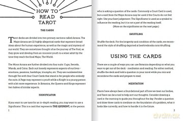 BOTANICA: The Tarot Deck About the Language of Flowers - Kevin Jay Stanton [KSIĄŻKA]