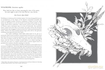 Botanical Curses and Poisons: The Shadow-Lives of Plants (Folk Magic) - Fen Inkwright [KSIĄŻKA]
