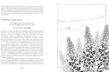 Botanical Curses and Poisons: The Shadow-Lives of Plants (Folk Magic) - Fen Inkwright [KSIĄŻKA]
