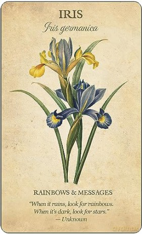 Botanical Inspirations Deck and Book Set - Lynn Araujo [KSIĄŻKA]