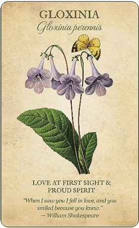 Botanical Inspirations Deck and Book Set - Lynn Araujo [KSIĄŻKA]