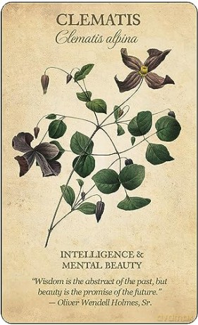 Botanical Inspirations Deck and Book Set - Lynn Araujo [KSIĄŻKA]