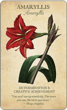 Botanical Inspirations Deck and Book Set - Lynn Araujo [KSIĄŻKA]