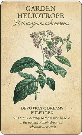 Botanical Inspirations Deck and Book Set - Lynn Araujo [KSIĄŻKA]