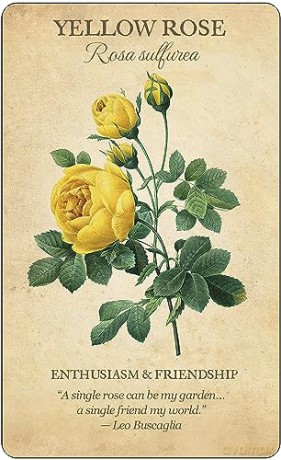 Botanical Inspirations Deck and Book Set - Lynn Araujo [KSIĄŻKA]