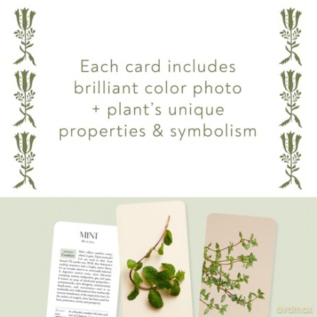 Botanicals Deck: 70 Plants and Flowers to Enhance Your Life - Leah Moth [KSIĄŻKA]