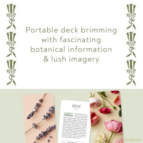 Botanicals Deck: 70 Plants and Flowers to Enhance Your Life - Leah Moth [KSIĄŻKA]
