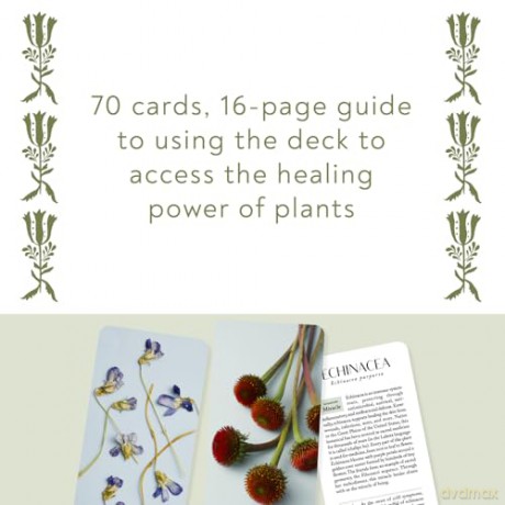 Botanicals Deck: 70 Plants and Flowers to Enhance Your Life - Leah Moth [KSIĄŻKA]