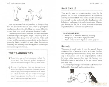 Brain Training for Dogs: Cognitive Games and Activities to Unlock Your Pet's Full Potential - Claire Arrowsmith [KSIĄŻKA]
