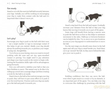 Brain Training for Dogs: Cognitive Games and Activities to Unlock Your Pet's Full Potential - Claire Arrowsmith [KSIĄŻKA]
