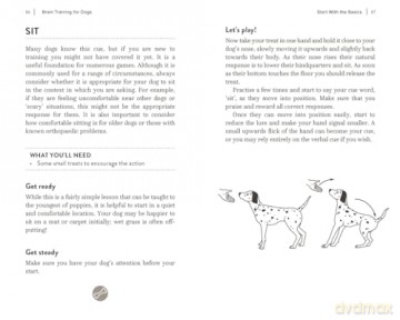 Brain Training for Dogs: Cognitive Games and Activities to Unlock Your Pet's Full Potential - Claire Arrowsmith [KSIĄŻKA]
