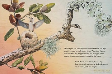 Brave Baby Hummingbird - Sy Montgomery [KSIĄŻKA]