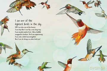 Brave Baby Hummingbird - Sy Montgomery [KSIĄŻKA]