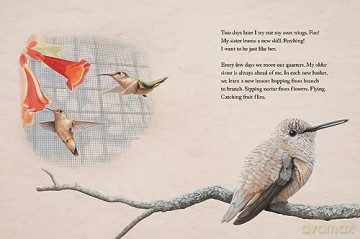Brave Baby Hummingbird - Sy Montgomery [KSIĄŻKA]