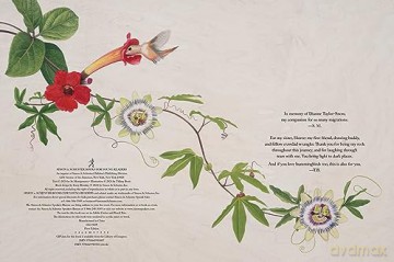 Brave Baby Hummingbird - Sy Montgomery [KSIĄŻKA]