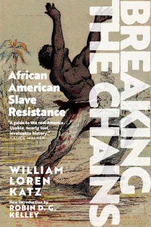 Breaking the Chains: African-American Slave Resistance - William Loren Katz [KSIĄŻKA]