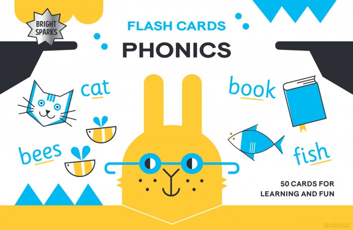Bright Sparks Flash Cards - Phonics - Dominika Lipniewska [KSIĄŻKA]