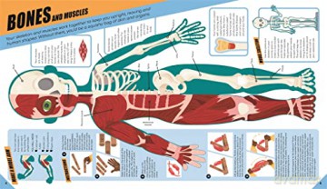 Brilliant Human Body (Learning Activity Kit) [KSIĄŻKA]