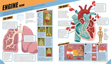 Brilliant Human Body (Learning Activity Kit) [KSIĄŻKA]