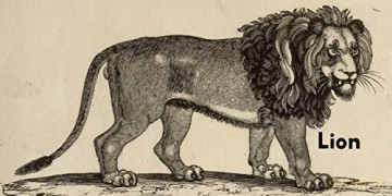 British Museum: Animals (Early Learning at the Museum) - Nosy Crow [KSIĄŻKA]