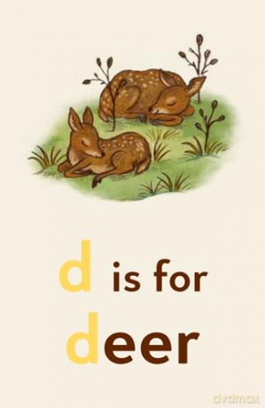 Brown Bear Wood: Let's Learn Our ABCs: 26 Double-sided Alphabet Flashcards - Freya Hartas [KSIĄŻKA]