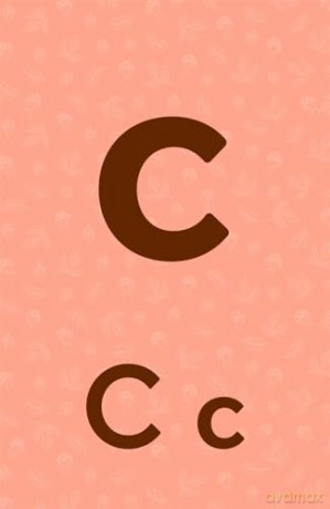 Brown Bear Wood: Let's Learn Our ABCs: 26 Double-sided Alphabet Flashcards - Freya Hartas [KSIĄŻKA]