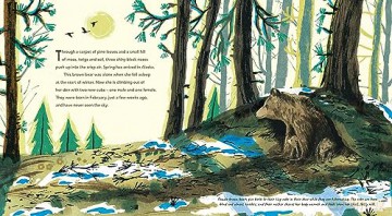 Brown Bears (Nature Storybooks) - Dr. Nick Crumpton [KSIĄŻKA]