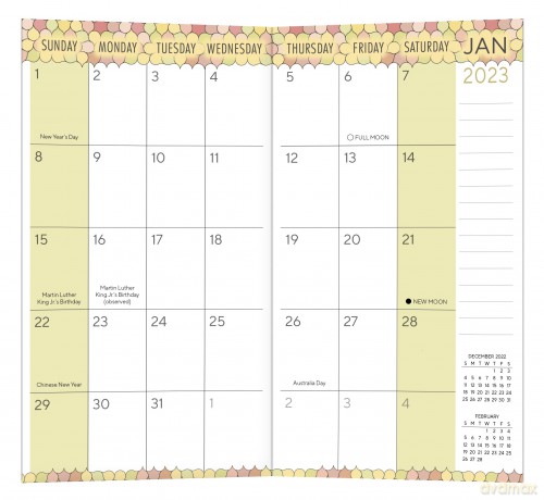 Bubbly August 2022-December 2024 2 Year Plus Pocket Planner (CHECKBOOK2 YEAR POCKET PLANNER) [KSIĄŻKA]