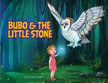 Bubo and the Little Stone - Olga Latanova [KSIĄŻKA]
