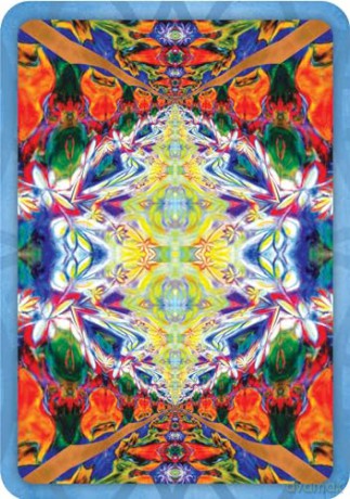 Buddha Dhamma Oracle (Rockpool Oracle) - Sofan Chan [KSIĄŻKA]