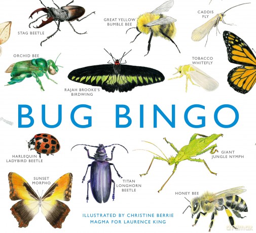 Bug Bingo (Magma for Laurence King) - Christine Berrie [KSIĄŻKA]