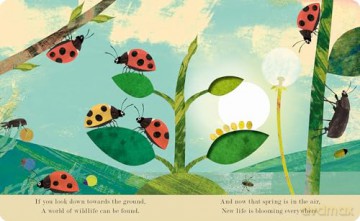 Bugs (Peek-through Nature) - Patricia Hegarty [KSIĄŻKA]