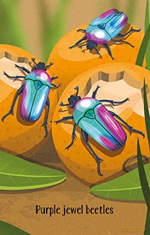 Bugs Snap (Snap Cards) - Wheatley Abigail [KSIĄŻKA]