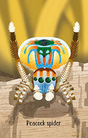 Bugs Snap (Snap Cards) - Wheatley Abigail [KSIĄŻKA]