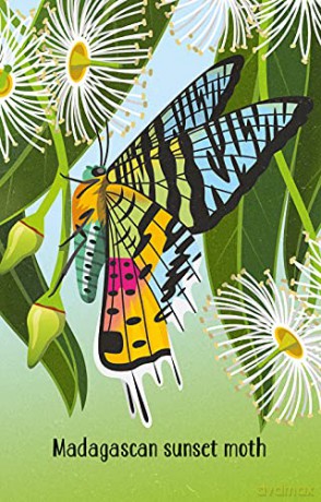 Bugs Snap (Snap Cards) - Wheatley Abigail [KSIĄŻKA]