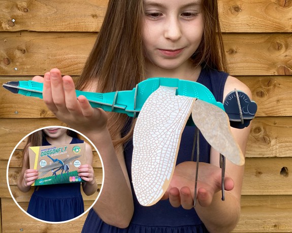 Build Your Own Beautiful Dragonfly - Pull Tab Flapping Wing Action - Eco Friendly Cardboard Craft Kit - Ages 8+ [KSIĄŻKA]