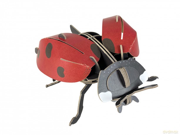 Build Your Own Beautiful Ladybird - Pull Tab Rotating Wing Action - Eco Friendly Cardboard Craft Kit - Ages 8+ [KSIĄŻKA]